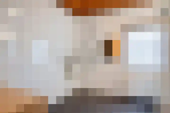 Hoofdstraat 77 A Hoogeloon thumbnail 28