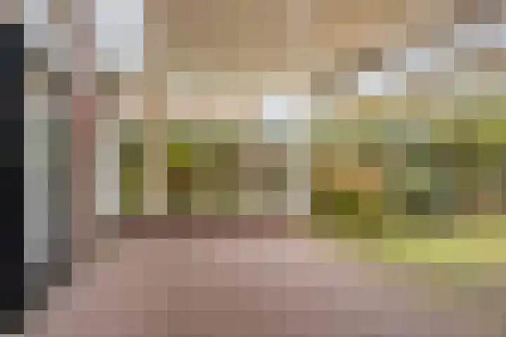 Hoofdstraat 77 A Hoogeloon thumbnail 41