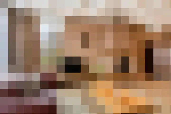 Hoofdstraat 77 A Hoogeloon thumbnail 9