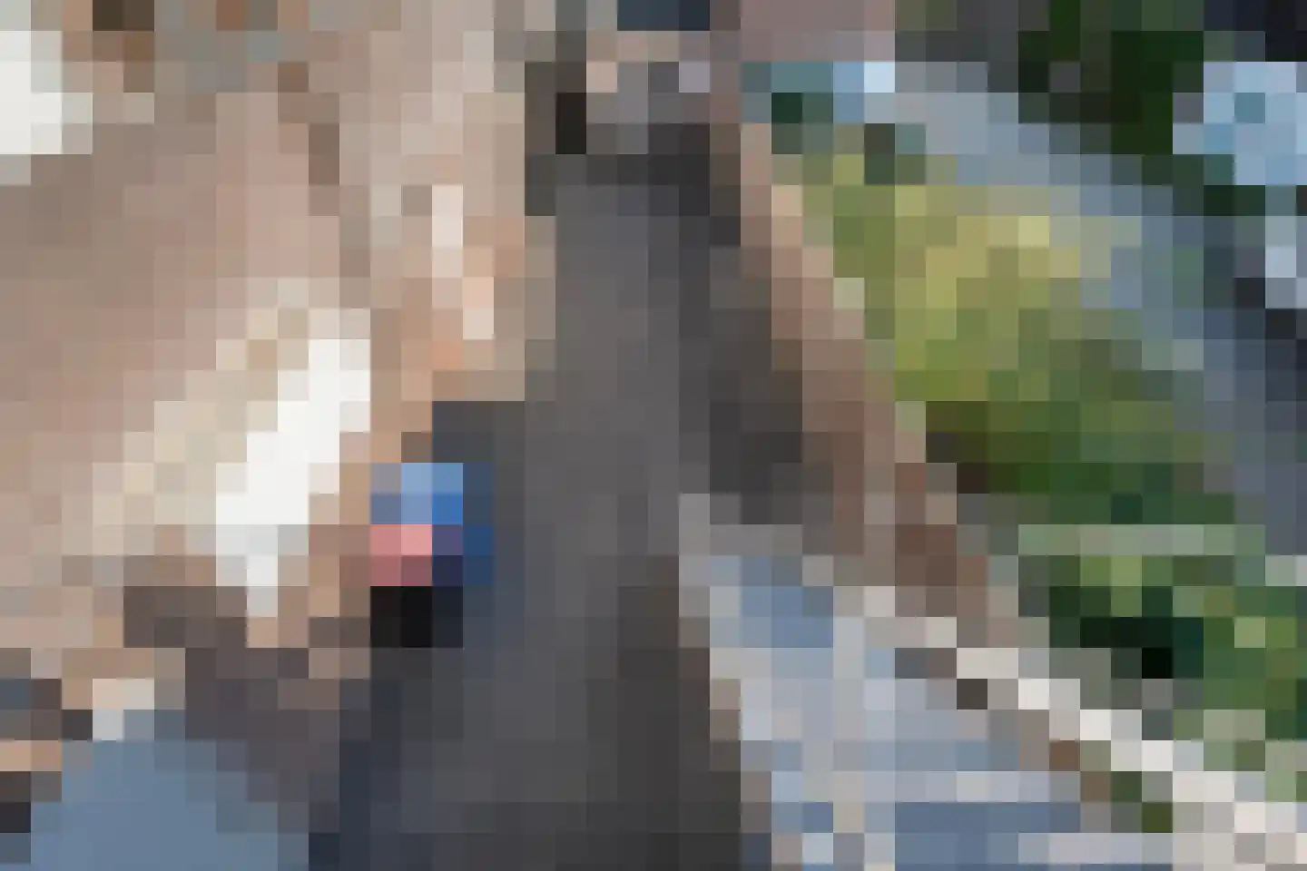 Hoofdstraat 77 a Hoogeveen thumbnail 46