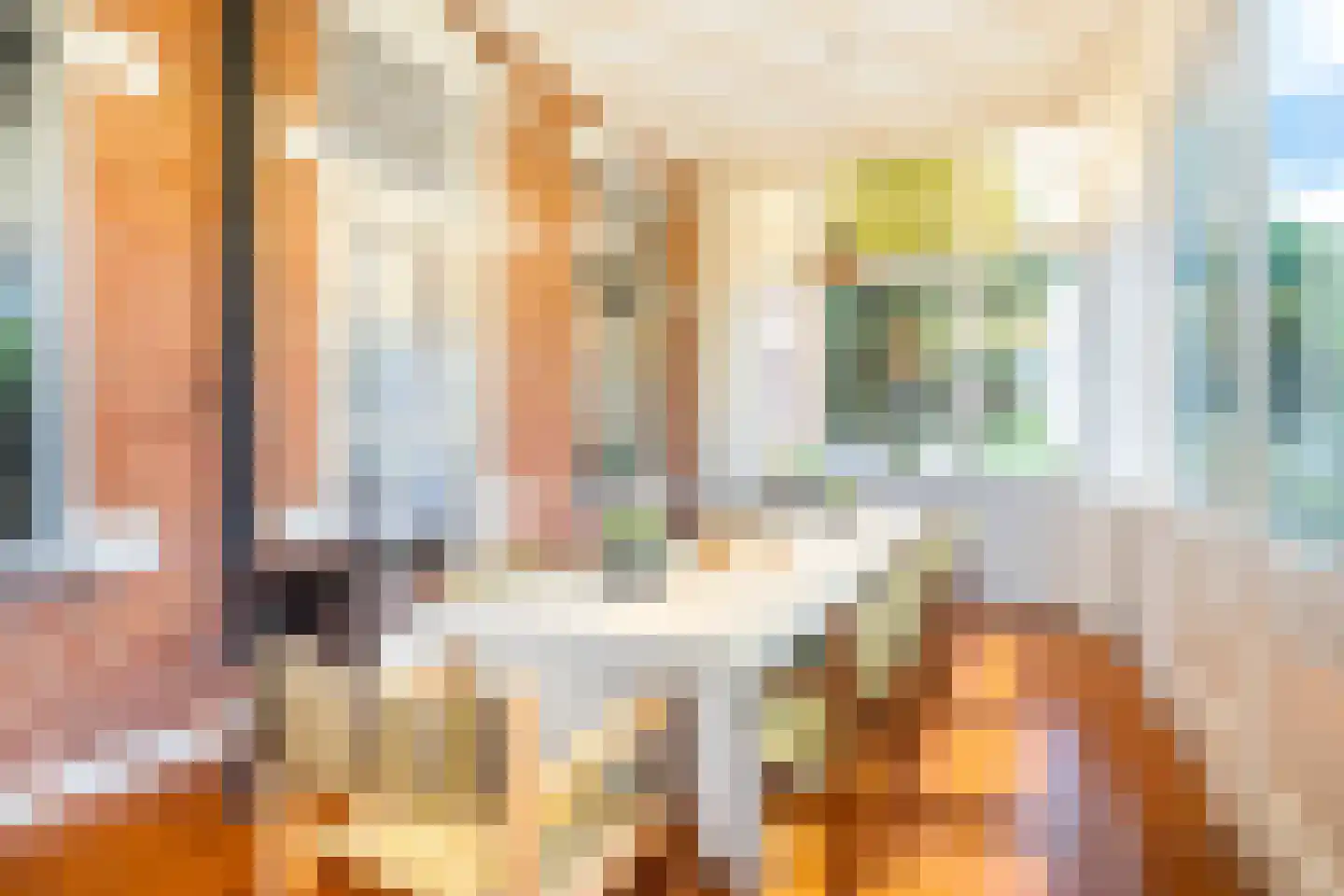 Hoofdstraat 77 Noordbroek thumbnail 36