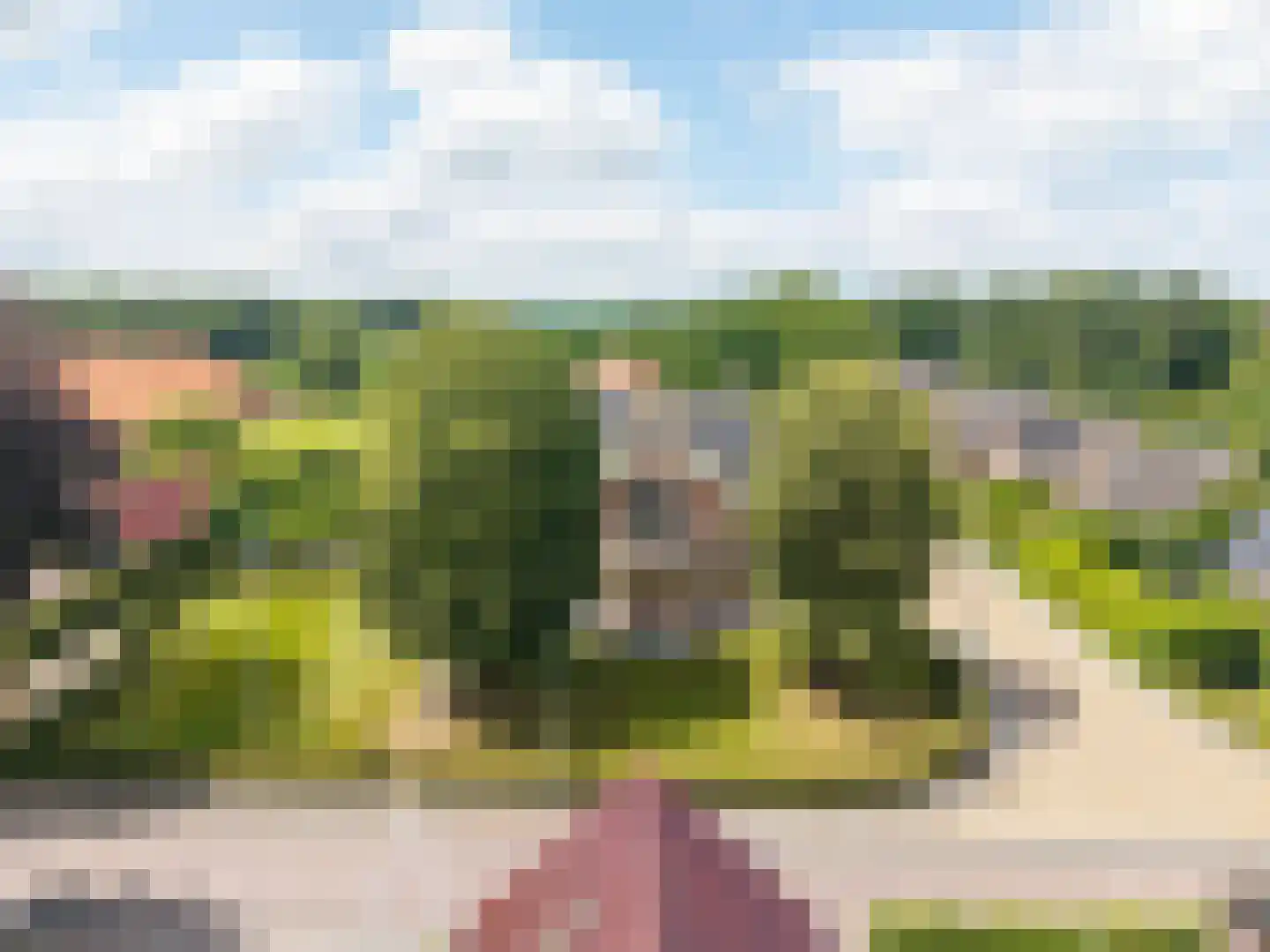 Hoofdstraat 77 Noordbroek thumbnail 70