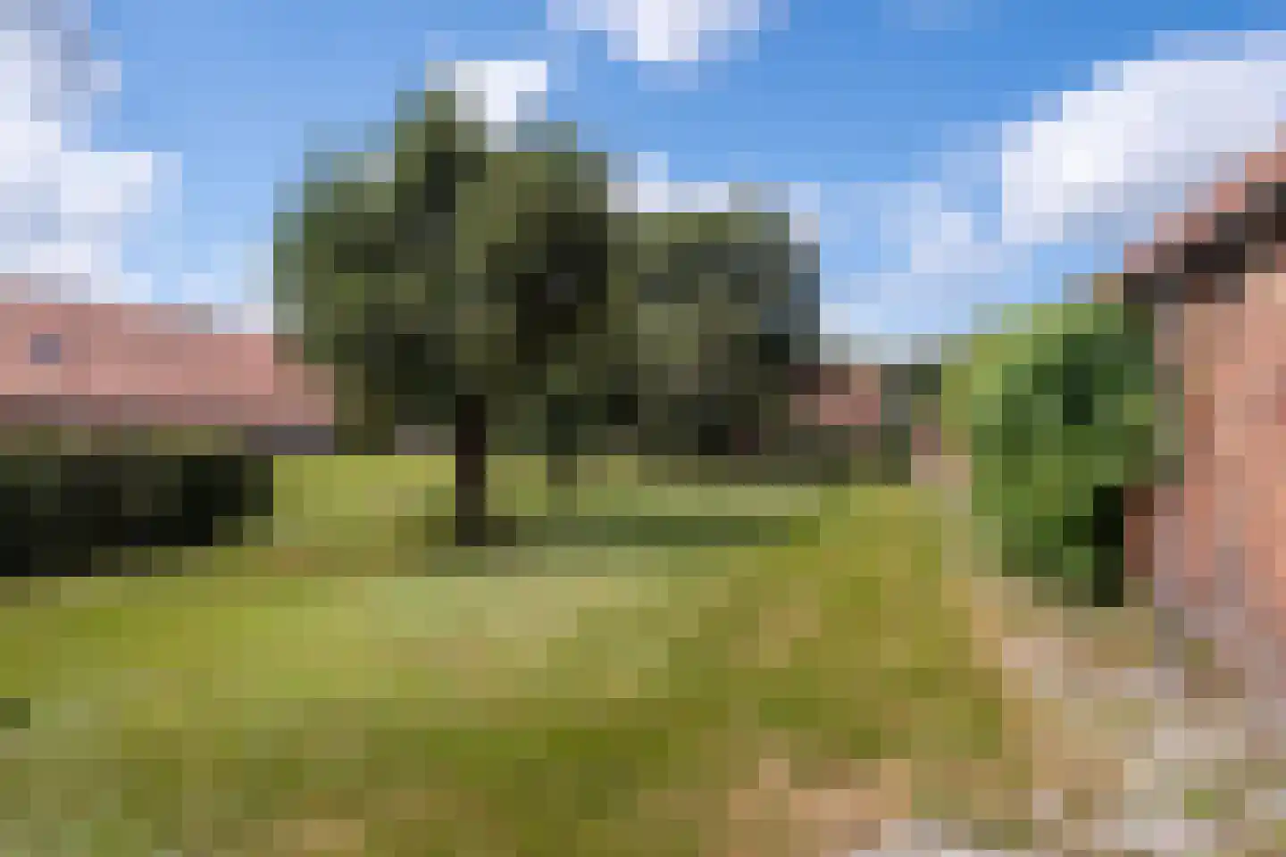 Hoofdstraat 77 Noordbroek thumbnail 72