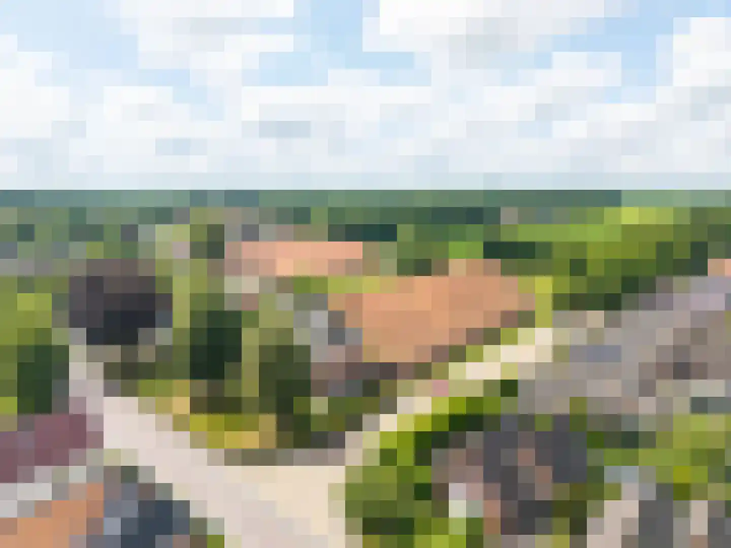 Hoofdstraat 77 Noordbroek thumbnail 85