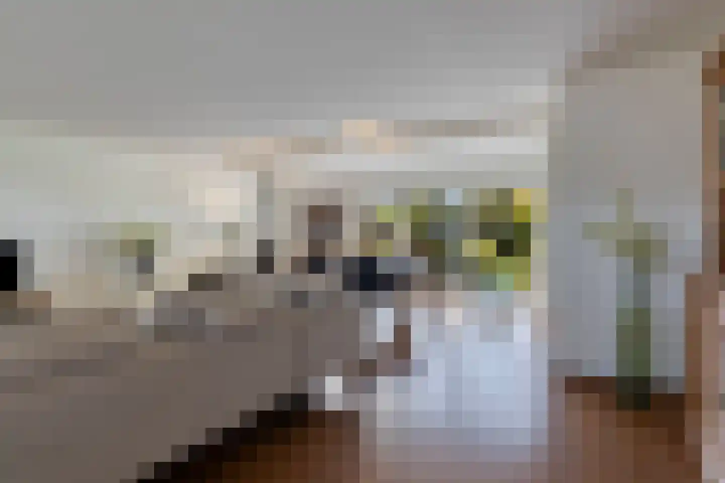 Hoofdstraat 77 Ovezande thumbnail 10