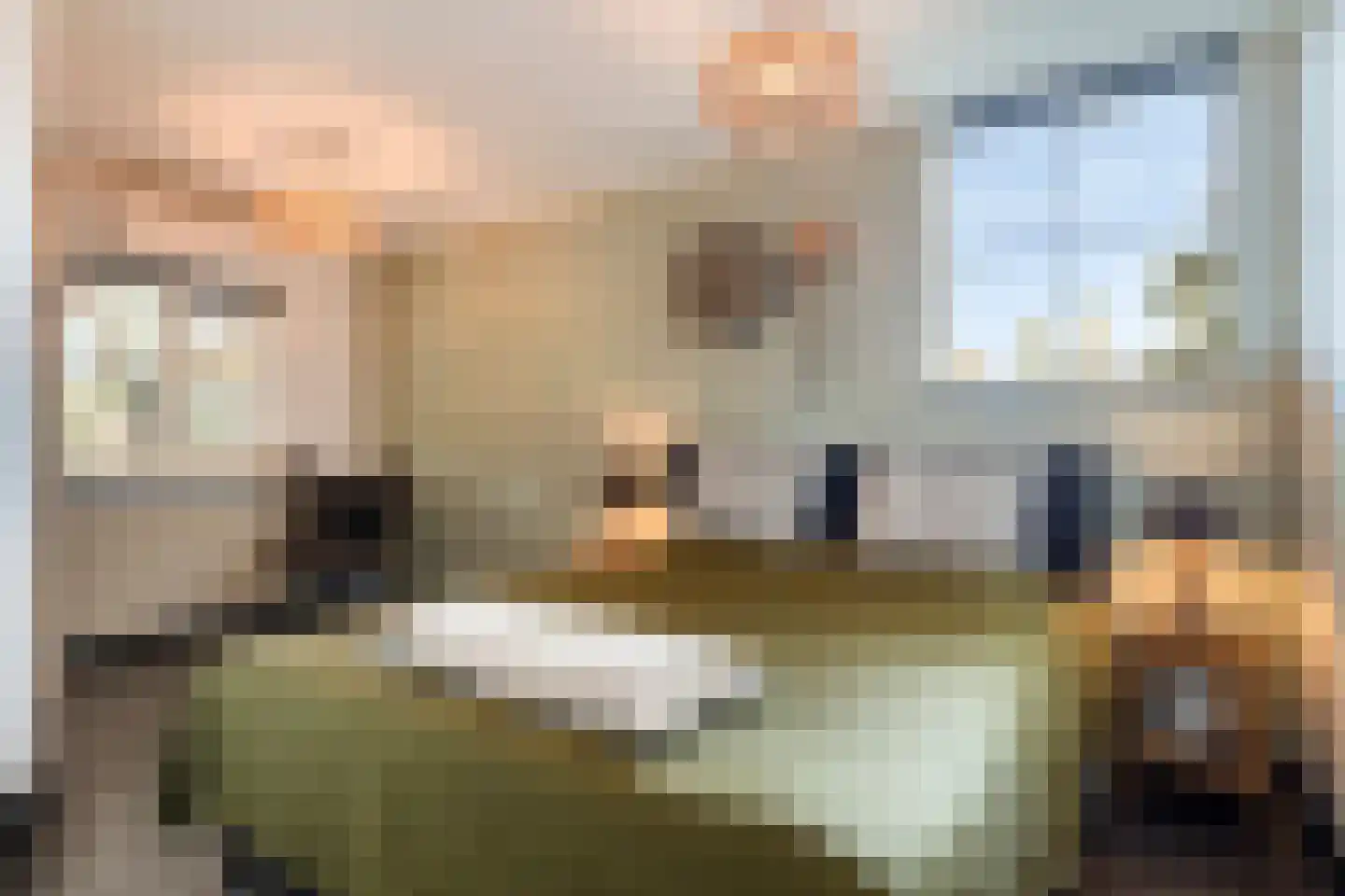 Hoofdstraat 77 Ovezande thumbnail 24