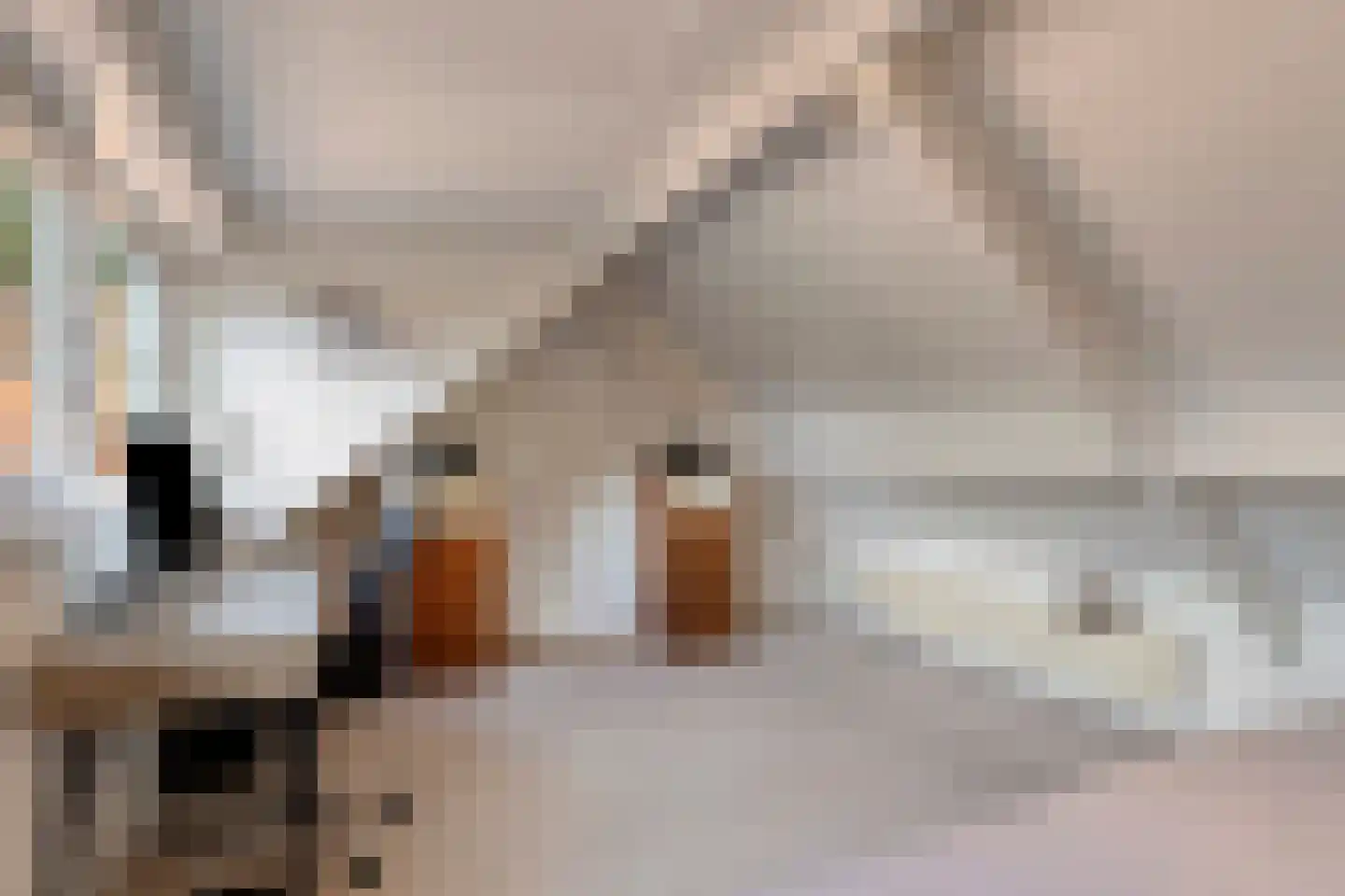 Hoofdstraat 77 Ovezande thumbnail 32
