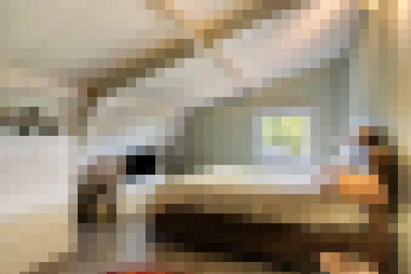 Hoofdstraat 77 Ovezande thumbnail 33