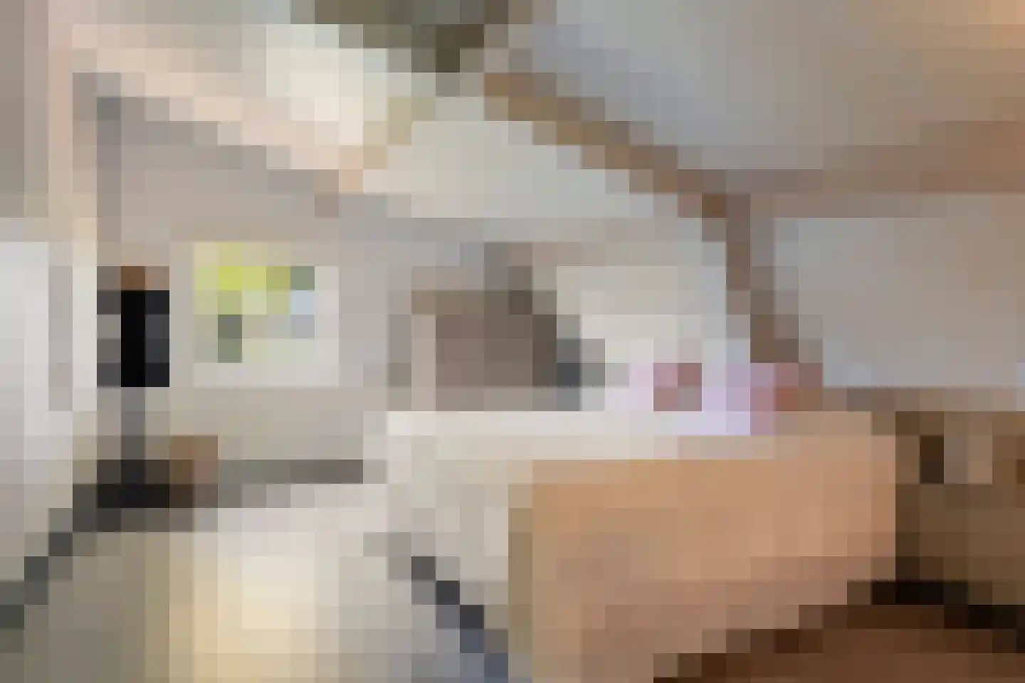 Hoofdstraat 77 Ovezande thumbnail 35