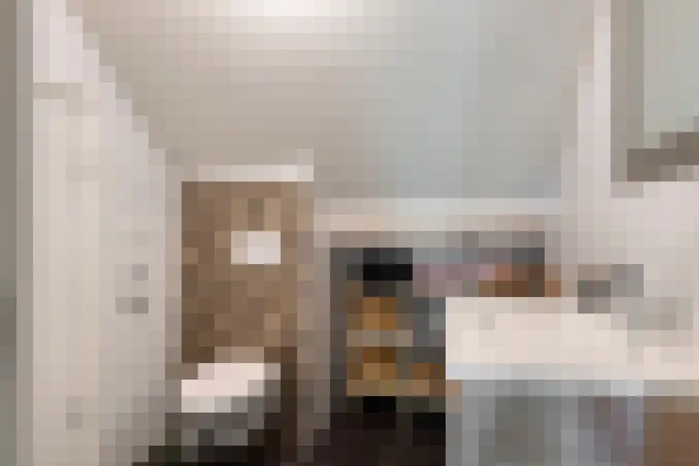 Hoofdstraat 77 Ovezande thumbnail 37