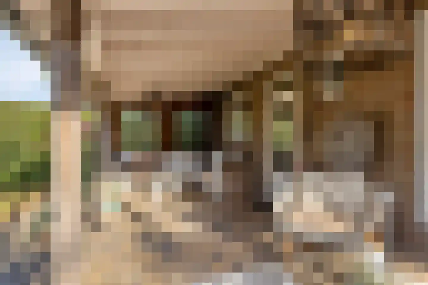 Hoofdstraat 77 Ovezande thumbnail 39