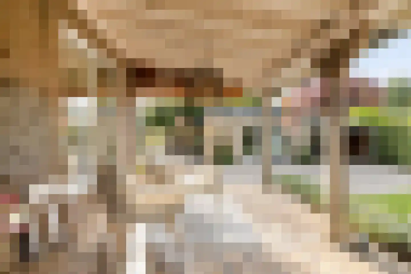 Hoofdstraat 77 Ovezande thumbnail 40