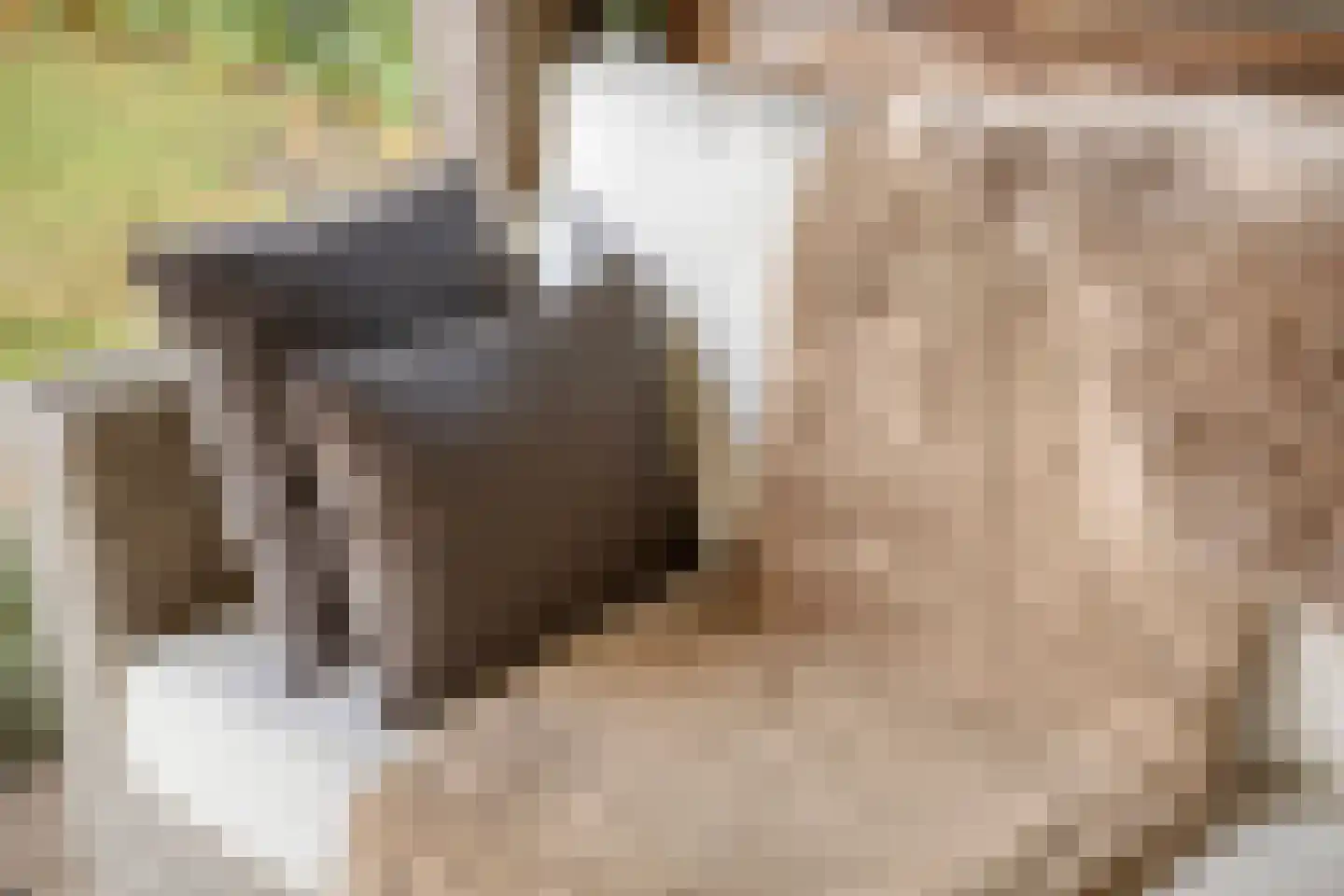 Hoofdstraat 77 Ovezande thumbnail 41