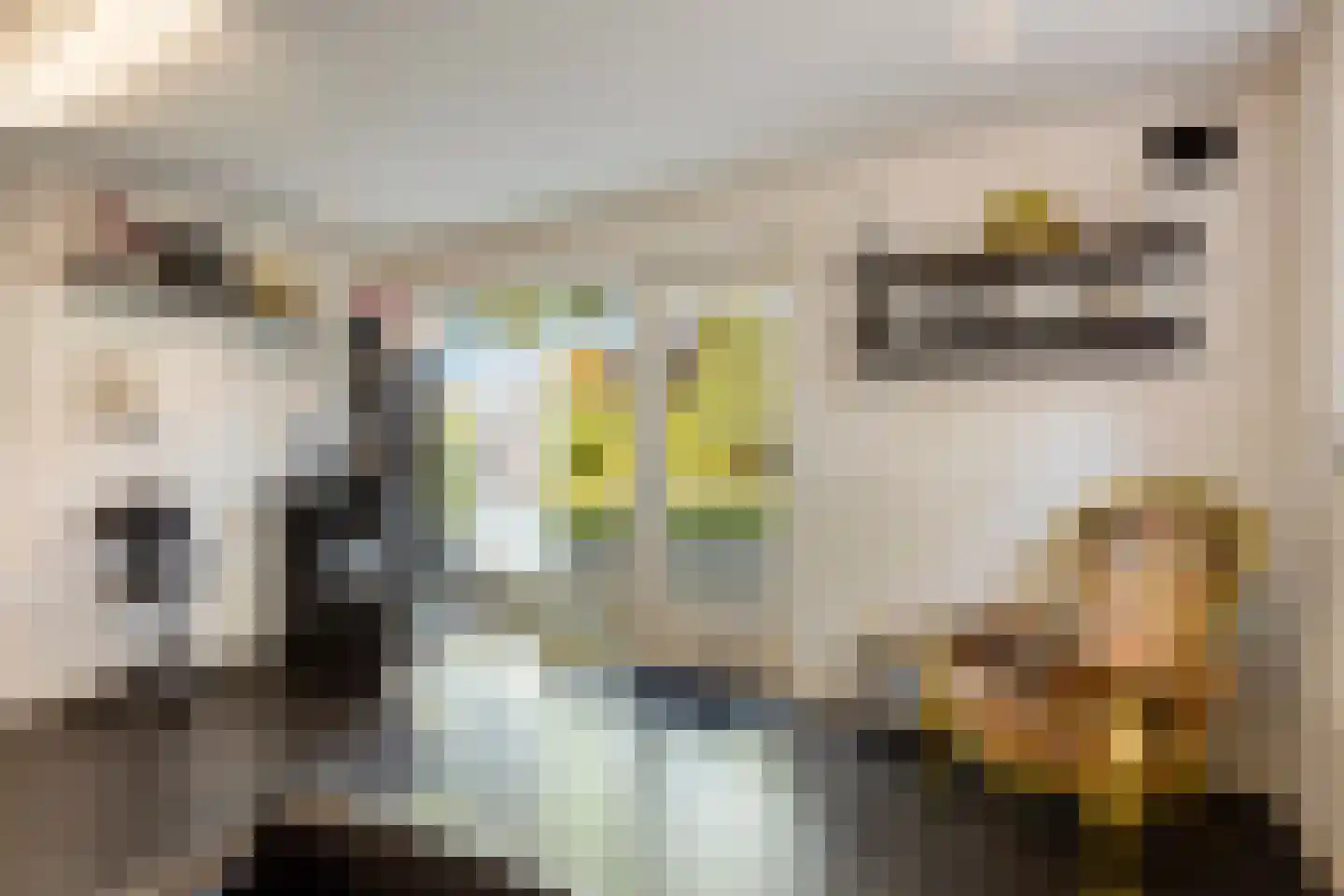 Hoofdstraat 77 Ovezande thumbnail 49