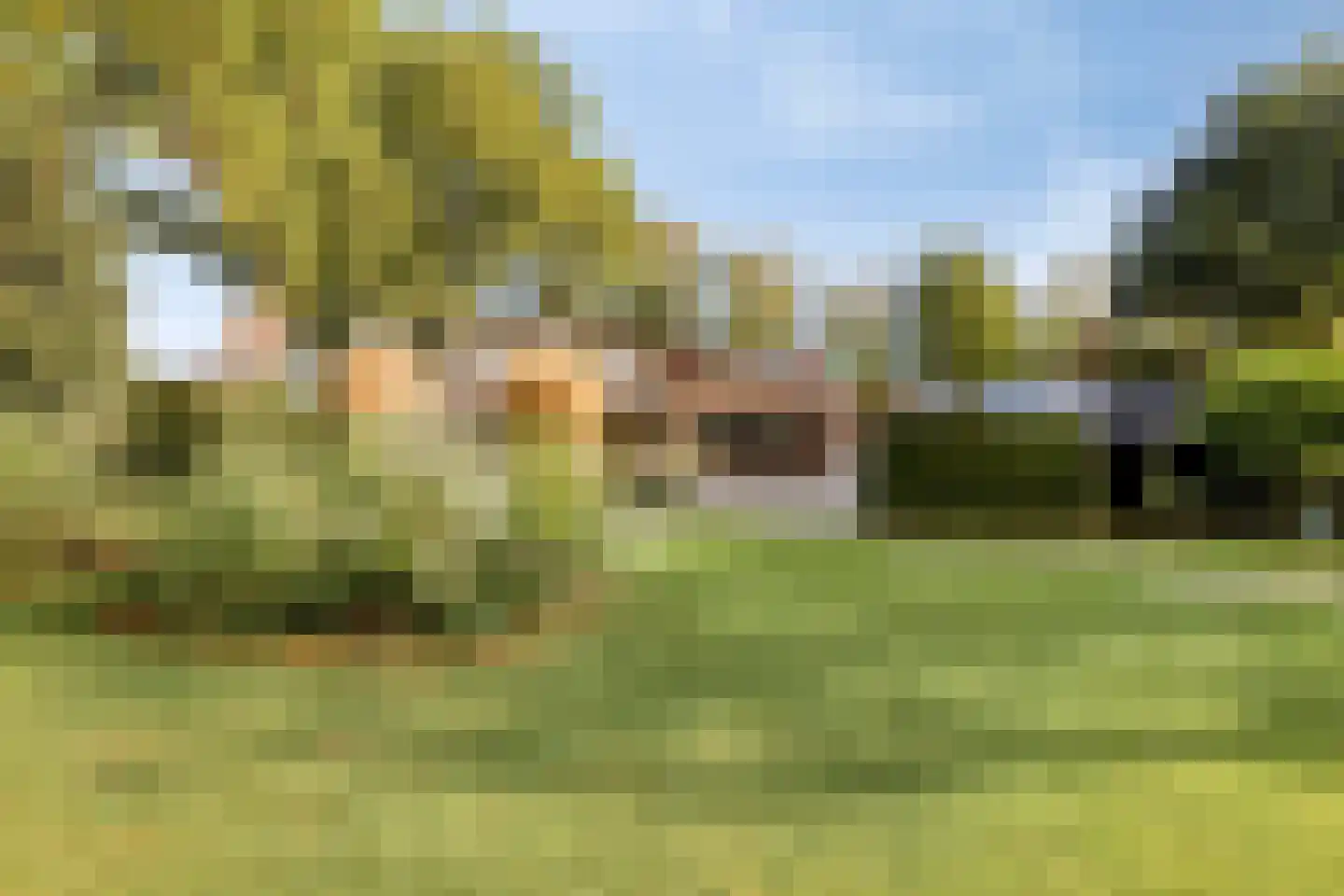 Hoofdstraat 77 Ovezande thumbnail 58