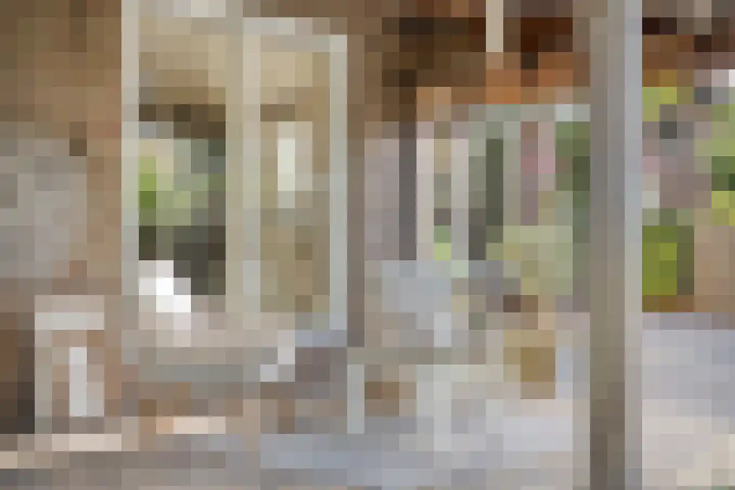 Hoofdstraat 77 Ovezande thumbnail 62