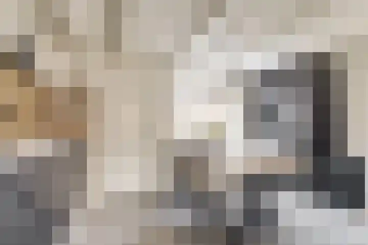 Hoofdstraat 78 Kortgene thumbnail 17