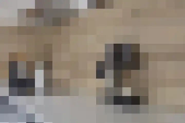 Hoofdstraat 78 Kortgene thumbnail 20