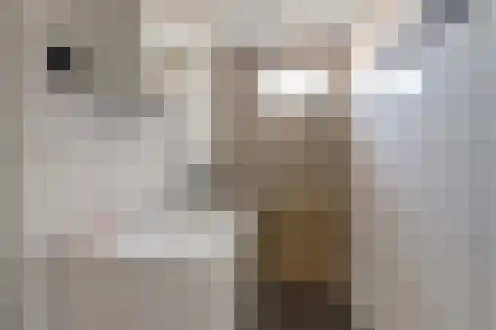Hoofdstraat 78 Kortgene thumbnail 22