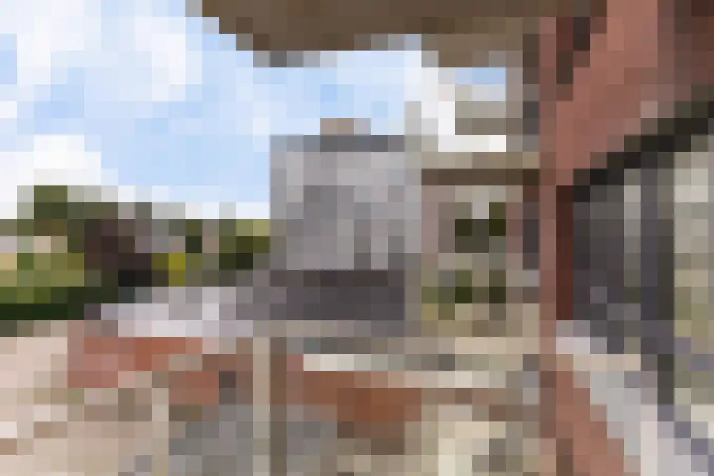 Hoofdstraat 78 r Hoogezand thumbnail 23