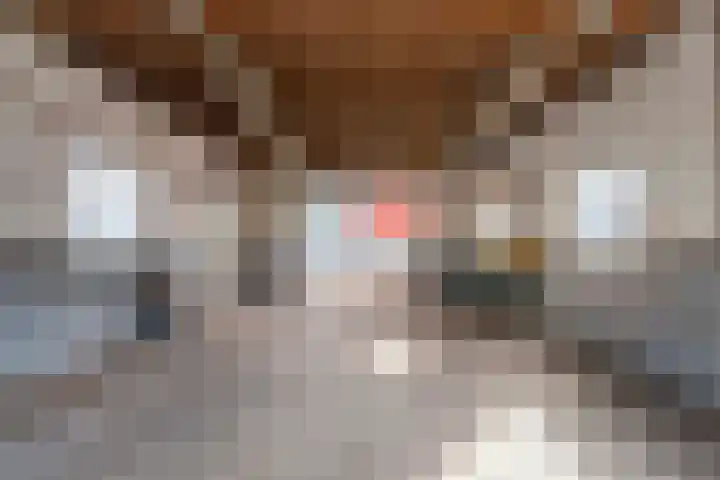 Hoofdstraat 78 Valkenburg thumbnail 30