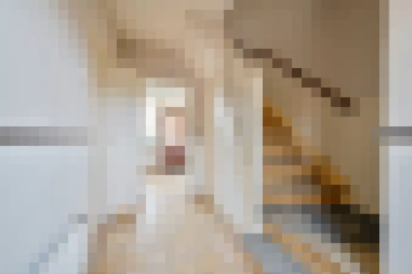 Hoofdstraat 78 Zetten thumbnail 7