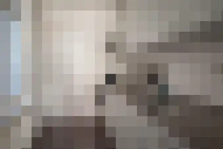Hoofdstraat 79 A Meppel thumbnail 4