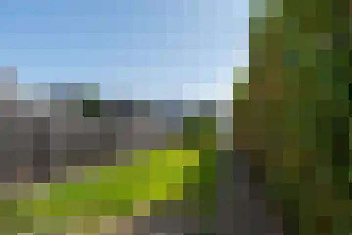 Hoofdstraat 79 Landgraaf thumbnail 22
