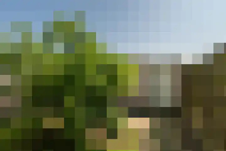 Hoofdstraat 79 Landgraaf thumbnail 23