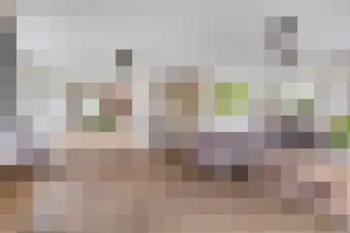 Hoofdstraat 8 Een thumbnail 14