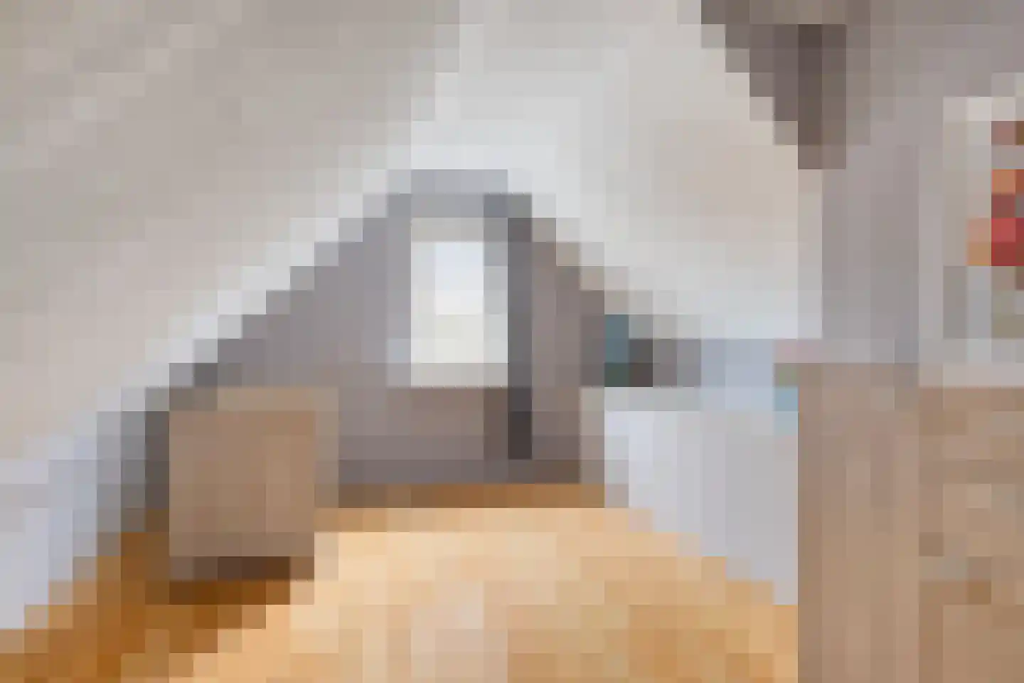 Hoofdstraat 8 Een thumbnail 42