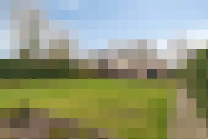 Hoofdstraat 8 Een thumbnail 50