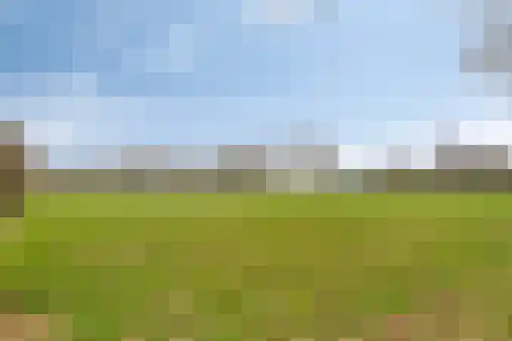 Hoofdstraat 8 Een thumbnail 57