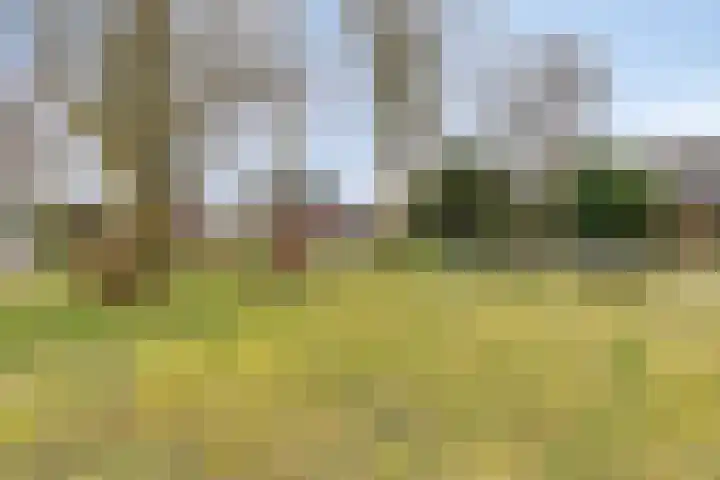 Hoofdstraat 8 Een thumbnail 58
