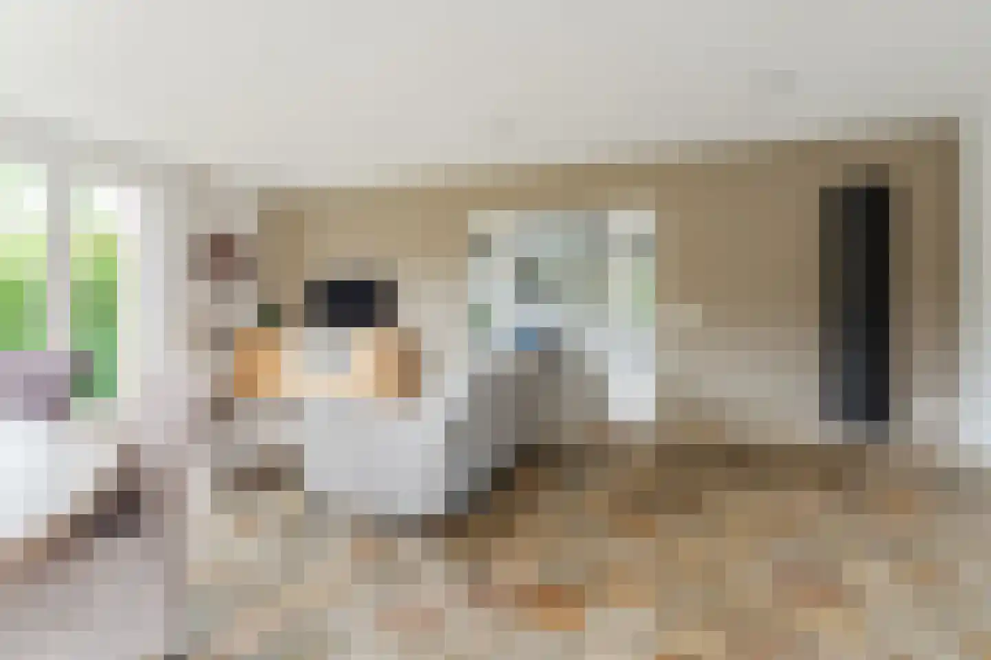 Hoofdstraat 8 Hoogeloon thumbnail 10