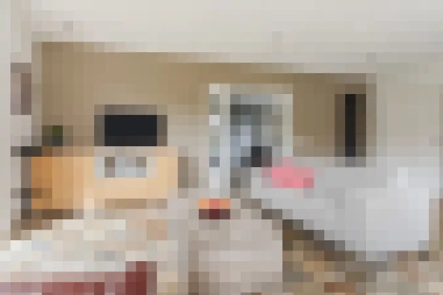 Hoofdstraat 8 Hoogeloon thumbnail 11