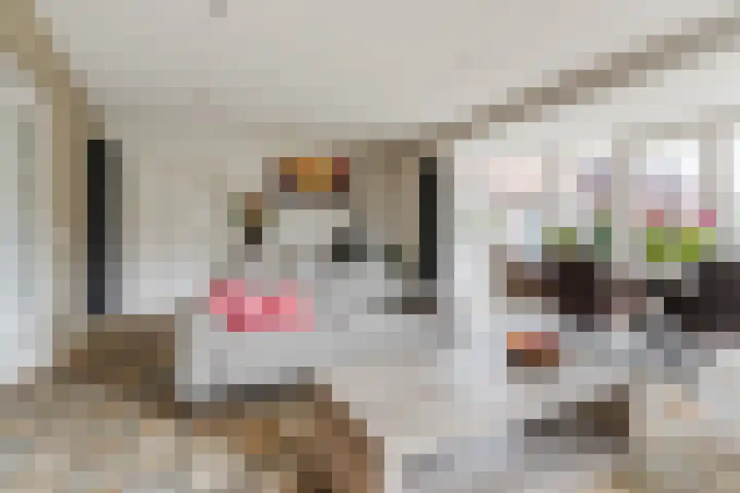 Hoofdstraat 8 Hoogeloon thumbnail 12