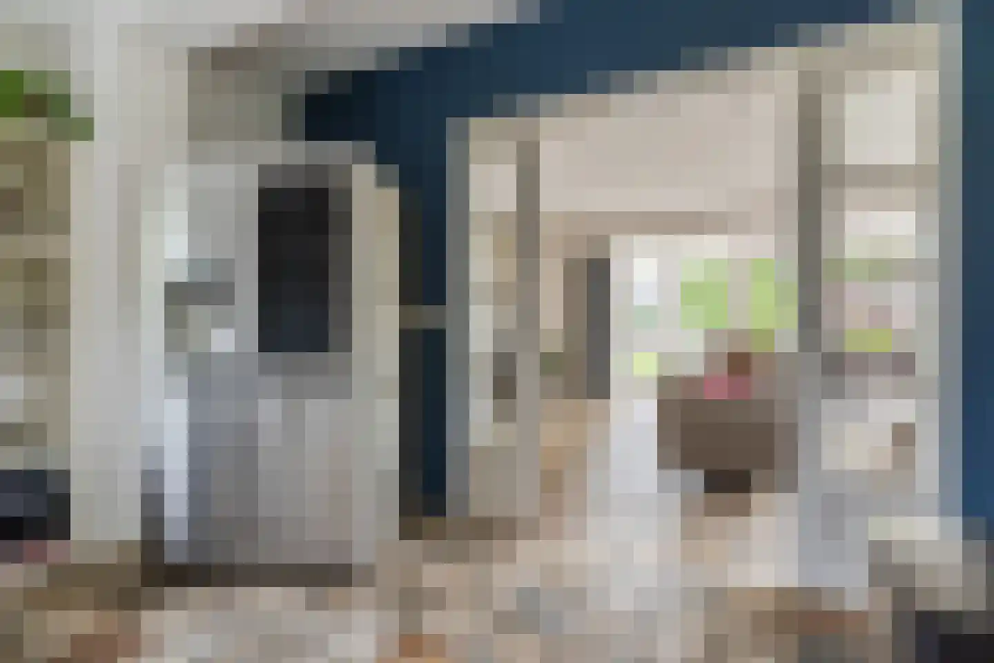 Hoofdstraat 8 Hoogeloon thumbnail 17