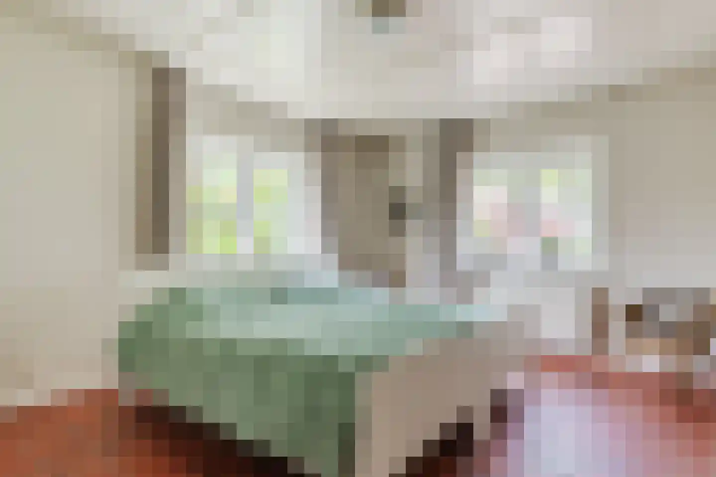 Hoofdstraat 8 Hoogeloon thumbnail 22