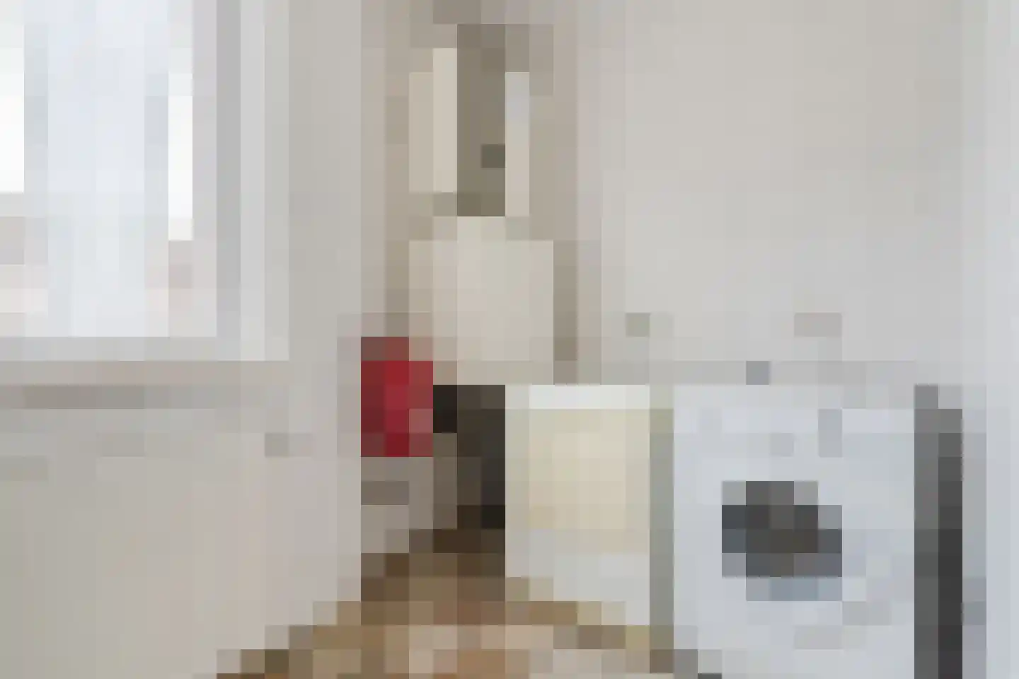 Hoofdstraat 8 Hoogeloon thumbnail 25