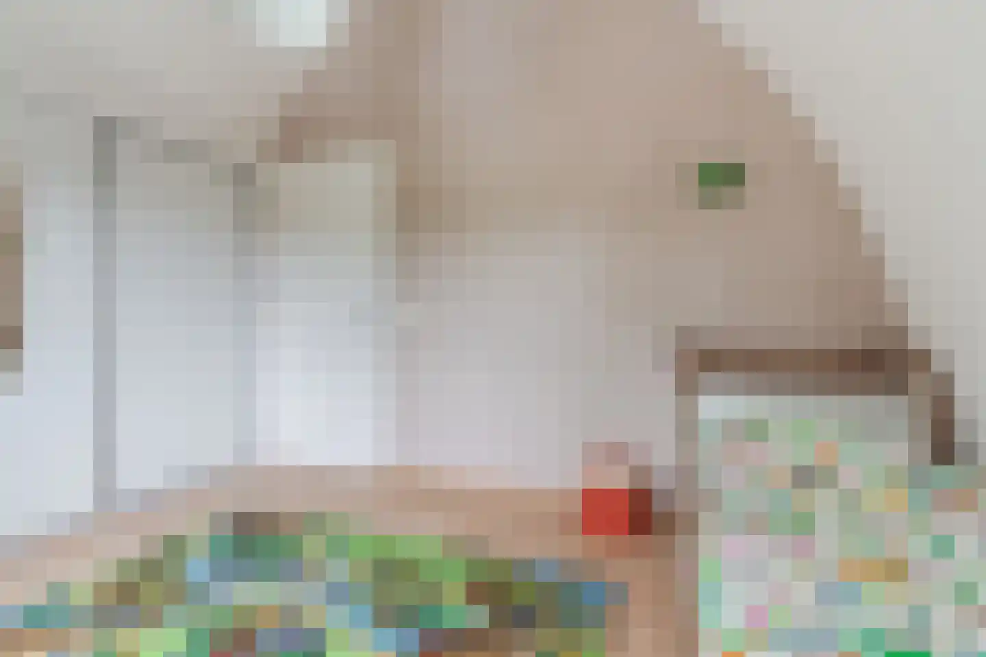 Hoofdstraat 8 Hoogeloon thumbnail 31