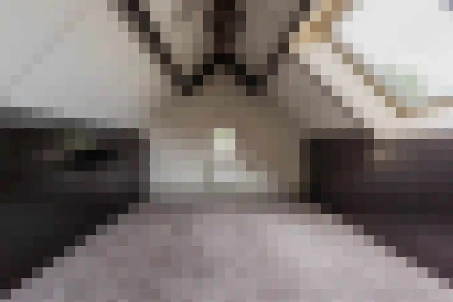 Hoofdstraat 8 Hoogeloon thumbnail 32