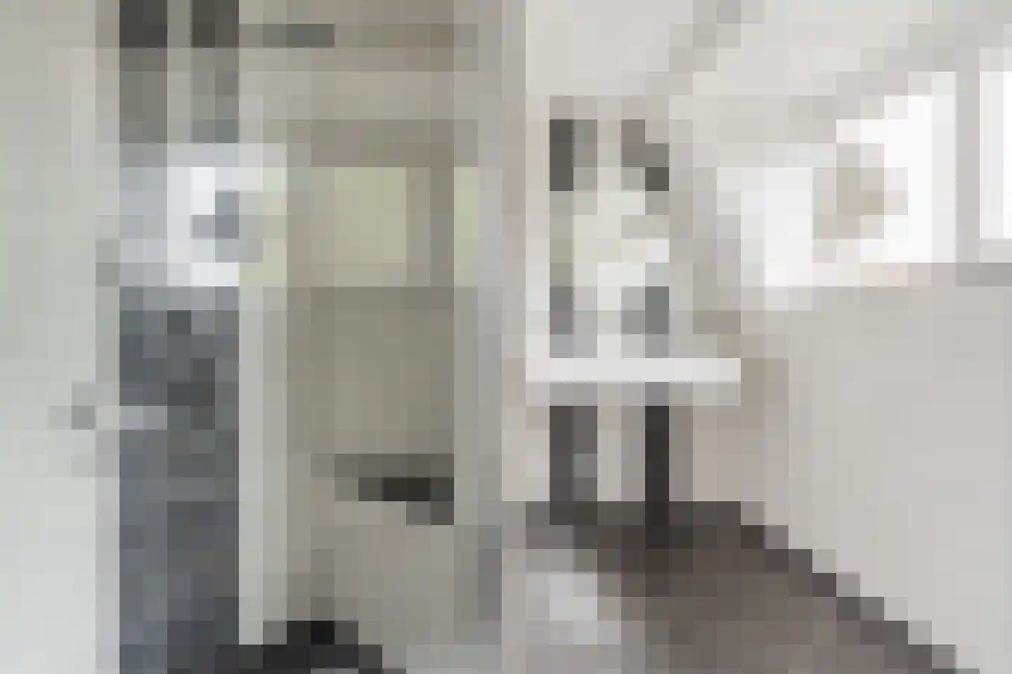 Hoofdstraat 8 Hoogeloon thumbnail 37