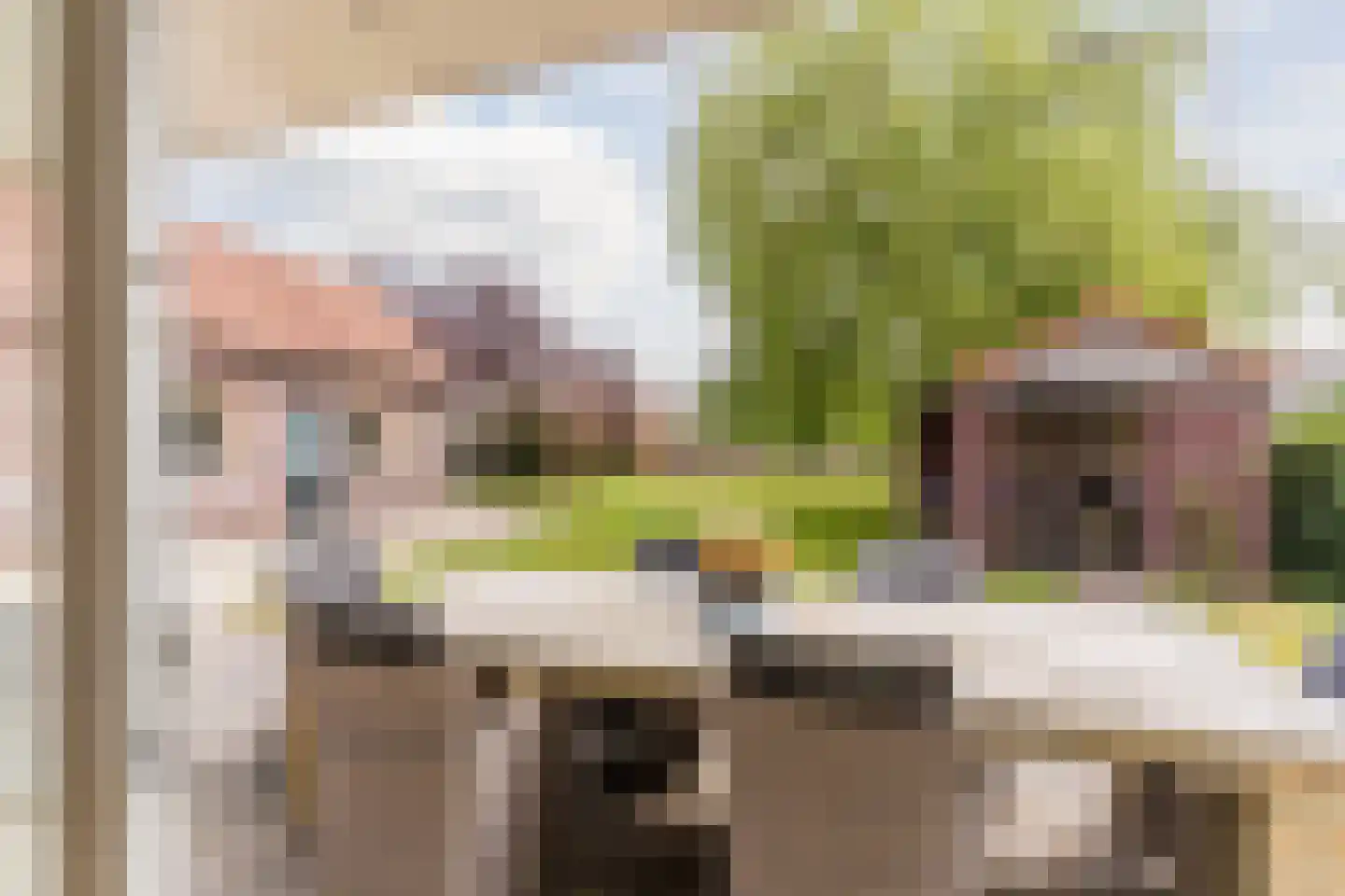 Hoofdstraat 8 Hoogeloon thumbnail 40