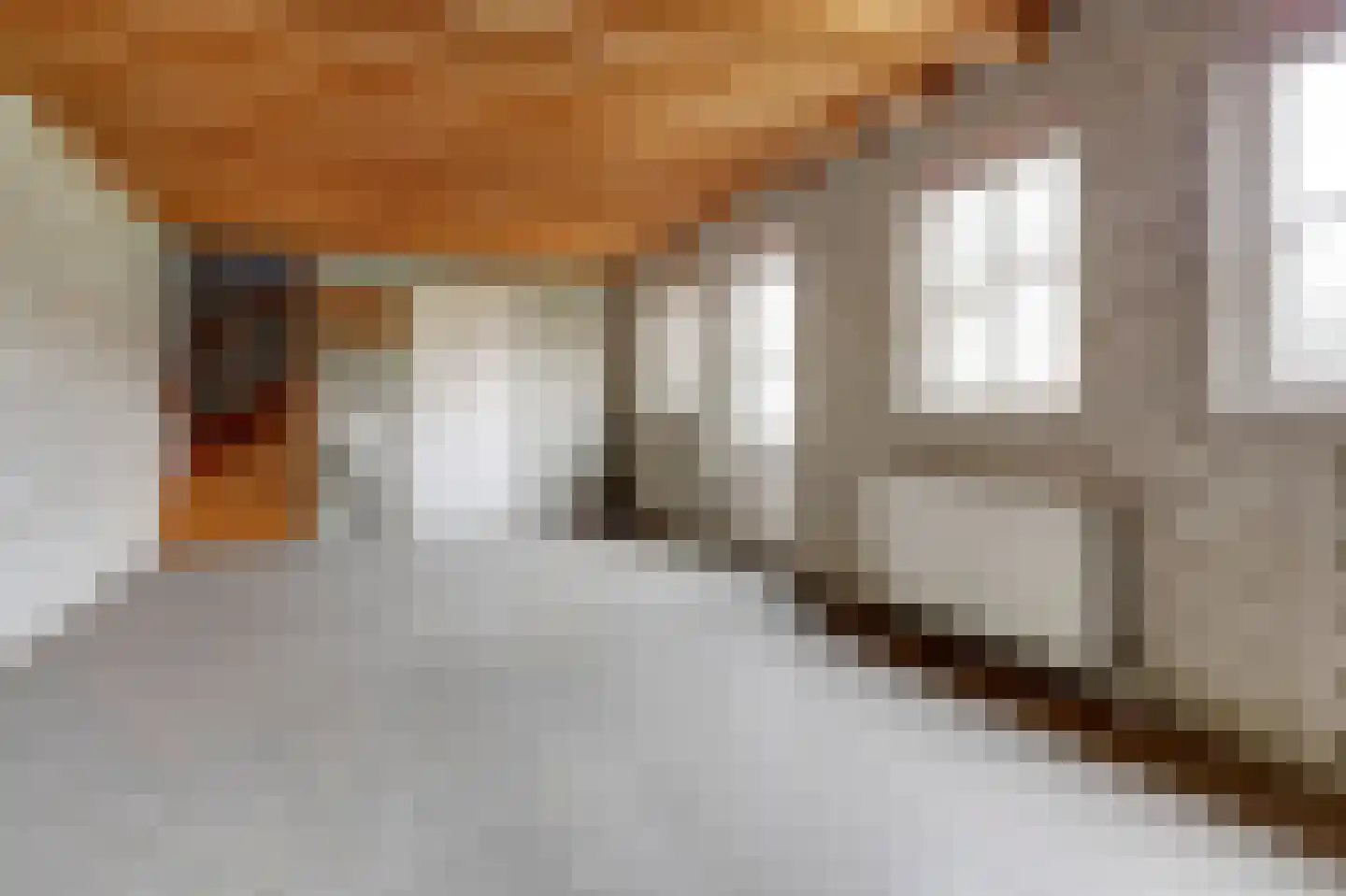 Hoofdstraat 8 Hoogeloon thumbnail 50