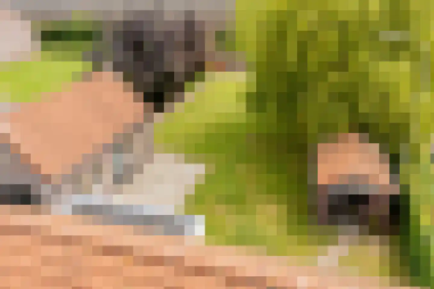 Hoofdstraat 8 Hoogeloon thumbnail 56