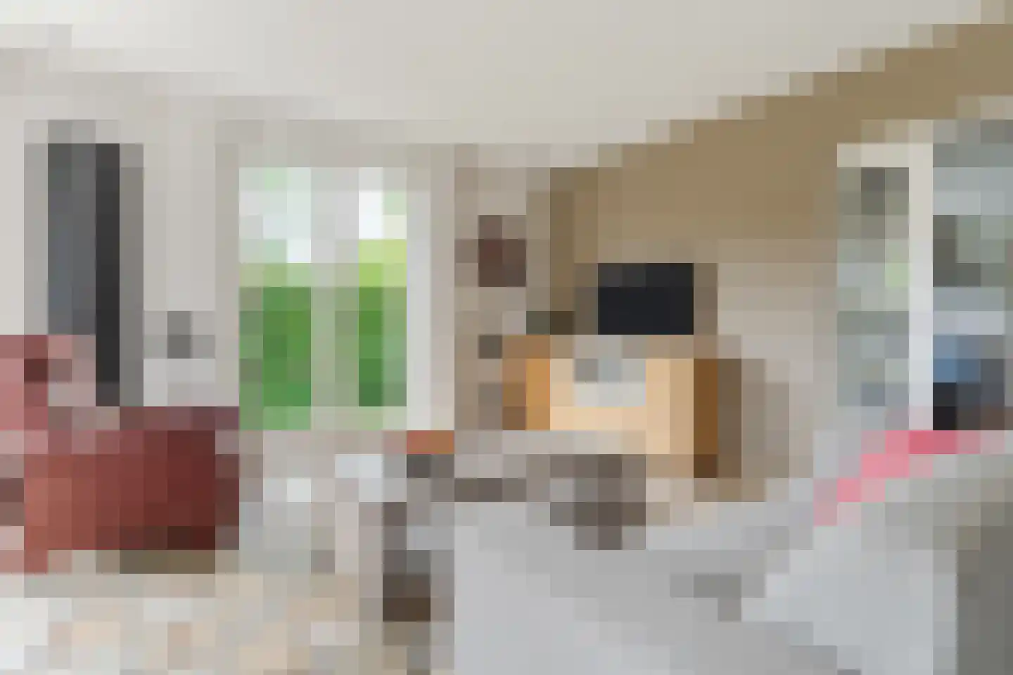 Hoofdstraat 8 Hoogeloon thumbnail 9