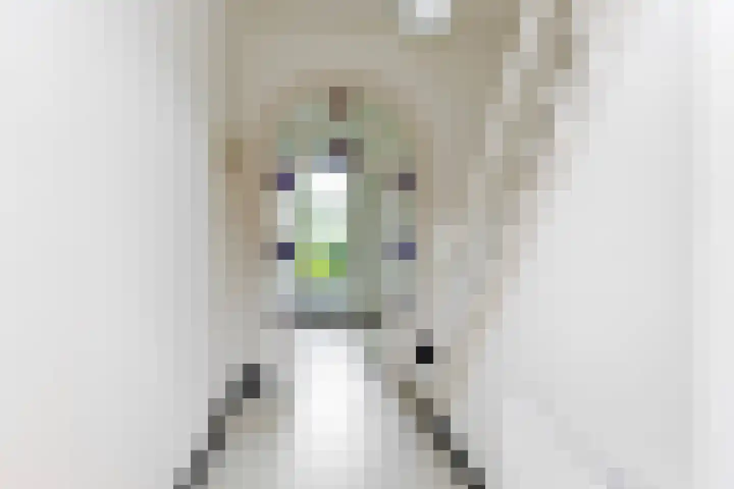 Hoofdstraat 8 Meedhuizen thumbnail 10