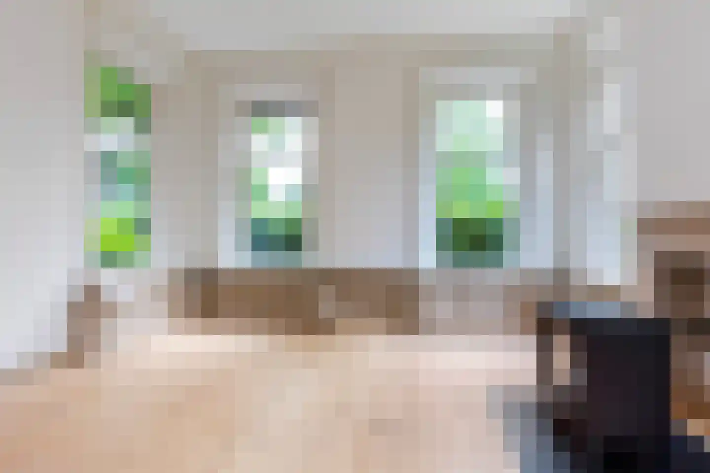 Hoofdstraat 8 Meedhuizen thumbnail 14