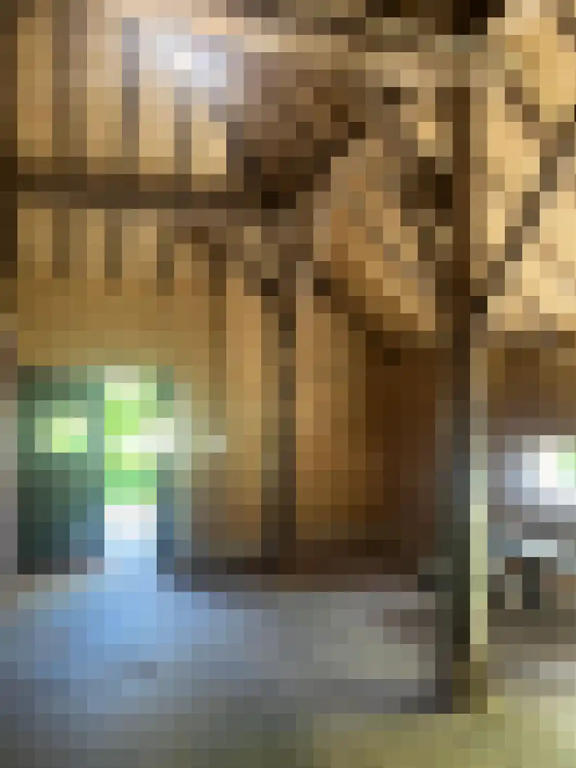 Hoofdstraat 8 Meedhuizen thumbnail 19